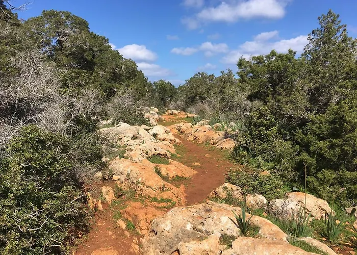 Alicia With Priv Pool, Beautiful Garden And Shady Veranda- 5 Min To The * Pegeia