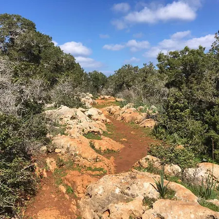 Alicia With Priv Pool, Beautiful Garden And Shady Veranda- 5 Min To The * Pégeia